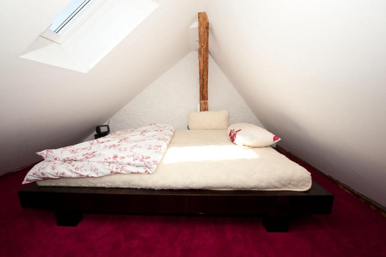 City Lux Apartment In Der Stadt Friburgo de Brisgovia Exterior foto